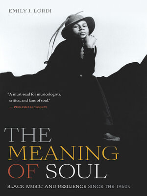 cover image of The Meaning of Soul
